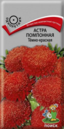 Астра помпонная темно-красная 0,3гр ПЦц