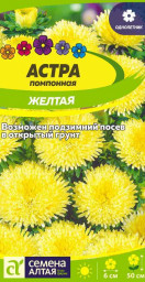 Астра Помпонная Желтая Семена Алтая