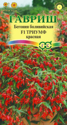 Бегония Триумф красный боливийская  F1 4 шт пробирка ГШцветы