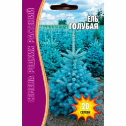 Ель Голубая 20шт ЧК цветы ВА В