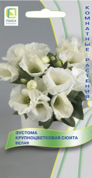Эустома крупноцветковая Сюита Белая 5шт Поиск