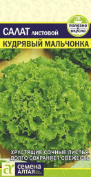 Салат Кудрявый Мальчонка 0,5гр Семена Алтая